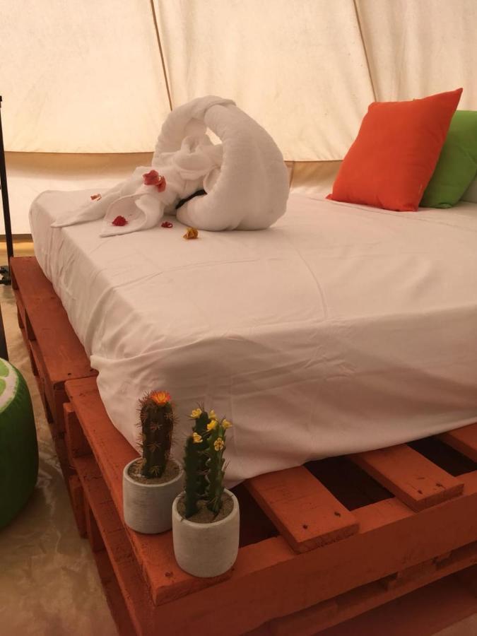 Glamping Due Amici Hotel Palomino Exterior photo